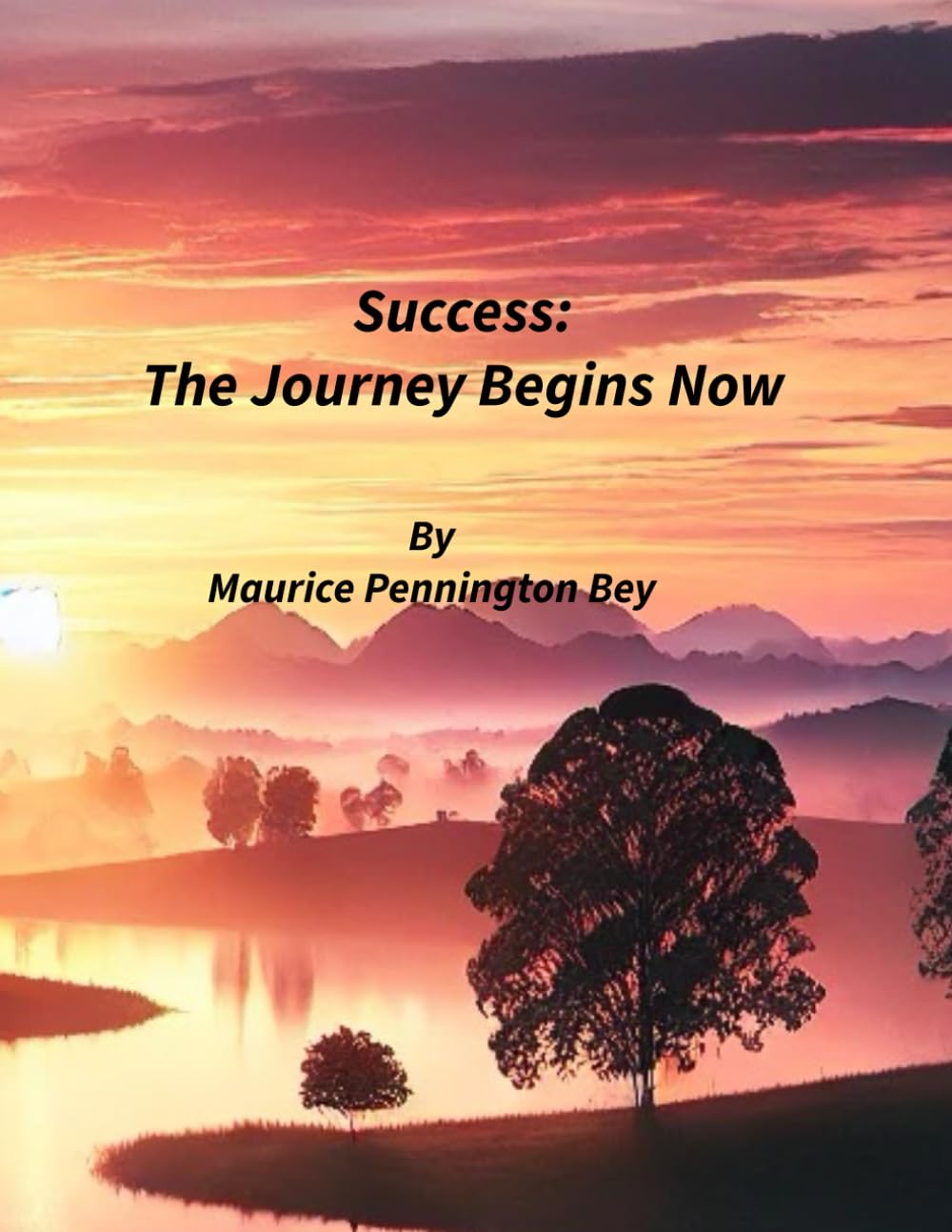 Success: The Journey Begins Now book cover
